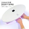 Large LED Nail Lamp 256W White Dual Hand Capacity image 0